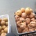 山东省菏泽市郓城县秋月梨