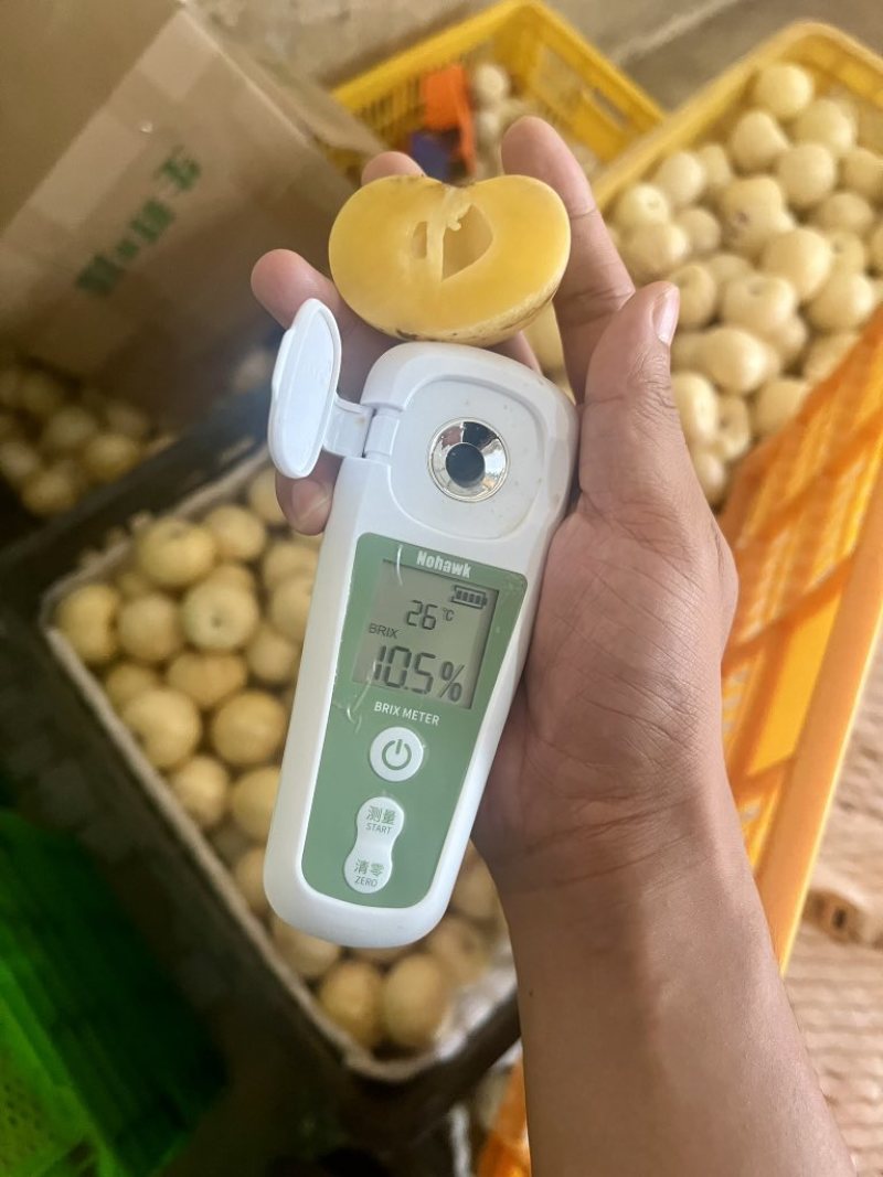 云南石林人参果按需做货树熟果催熟果均有