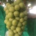 阳光玫瑰葡萄