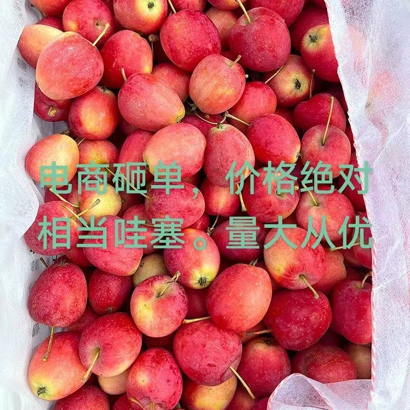 鸡心果一件代发全平台一件代发