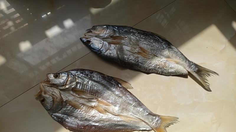 鄱阳湖野生小鳡鱼，小翘嘴鱼