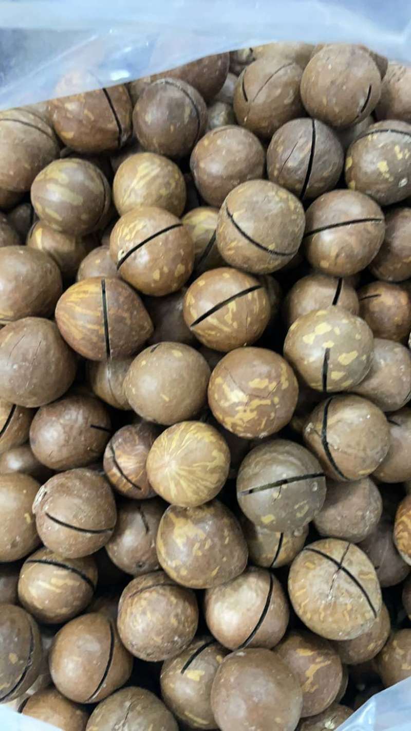 夏威夷果各种规格电商代发线下发货