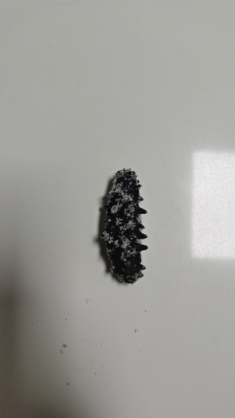 辽参，半淡干冻煮料