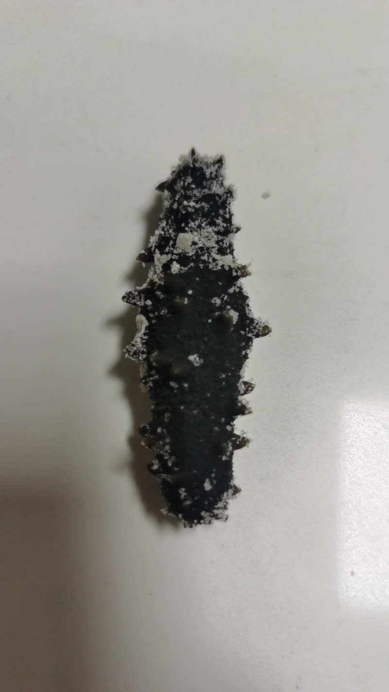 辽参，半淡干冻煮料