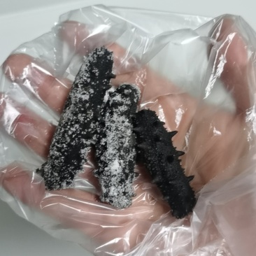 辽参，半淡干冻煮料