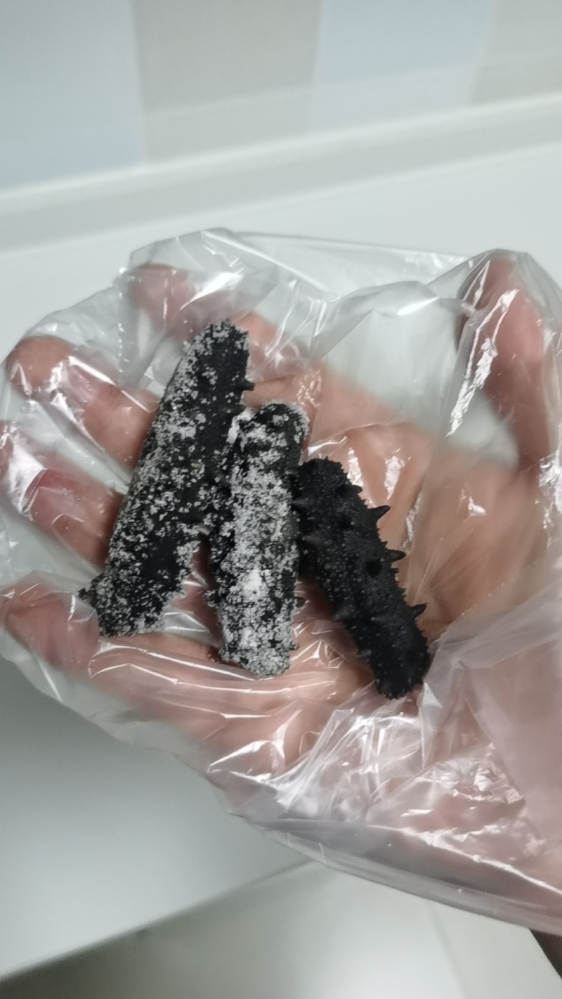 辽参，半淡干冻煮料