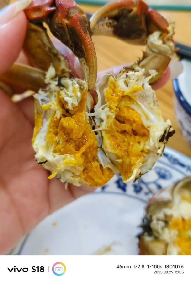 大闸蟹，小龙虾