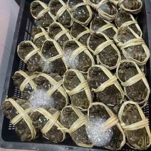 大闸蟹，小龙虾