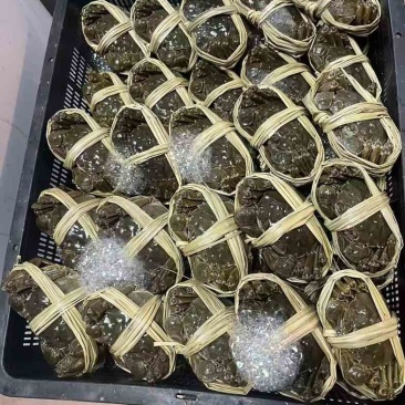大闸蟹，小龙虾