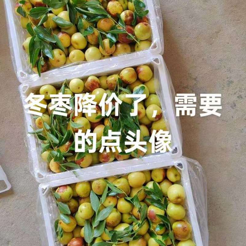 鲜枣