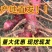 优质红皮南姜产地源头现挖现发支持视频量大优惠好品质南姜