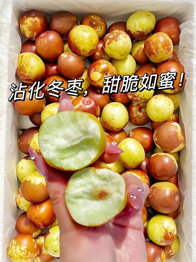 山东沾化大棚冬枣