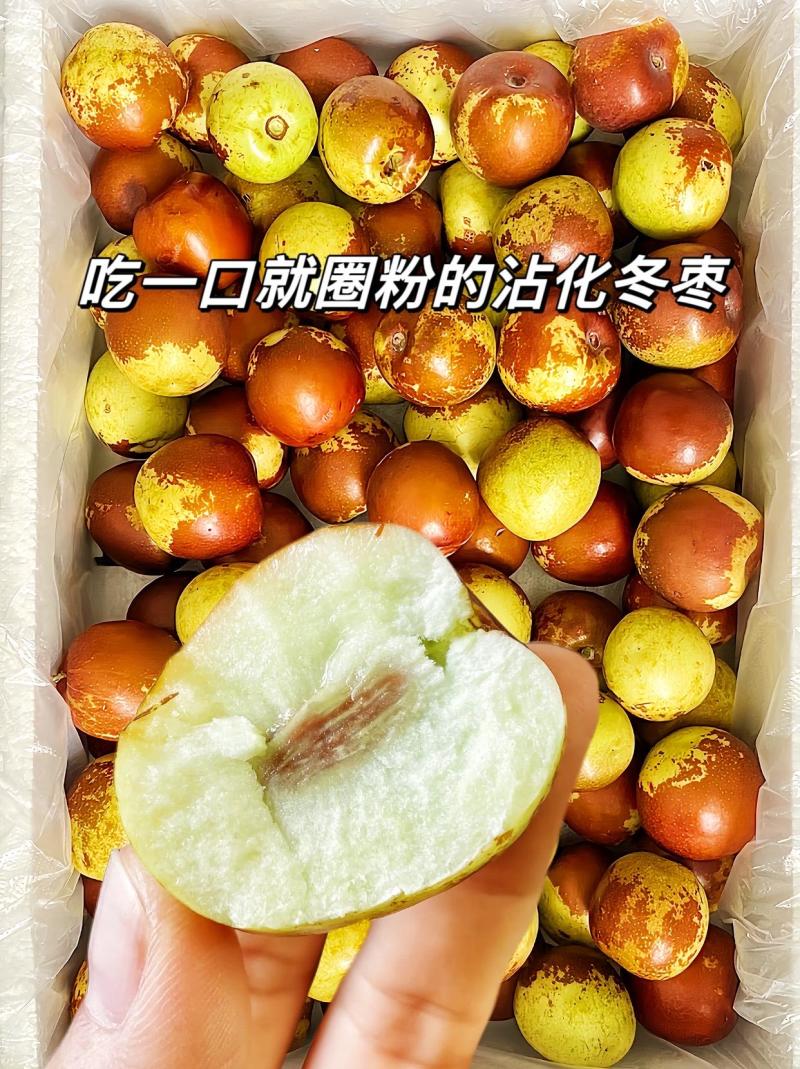 山东沾化大棚冬枣