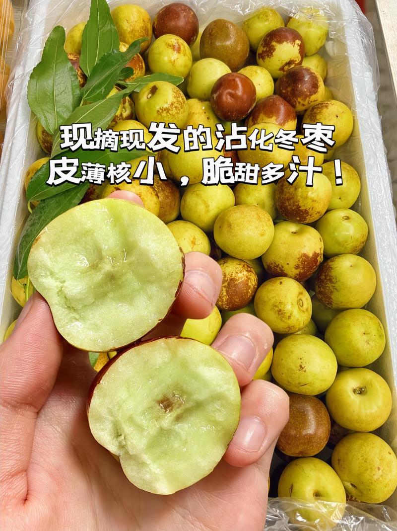 山东沾化大棚冬枣
