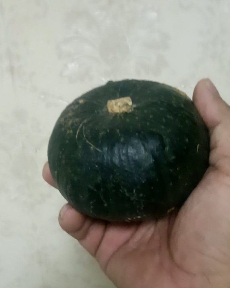 贝贝南瓜