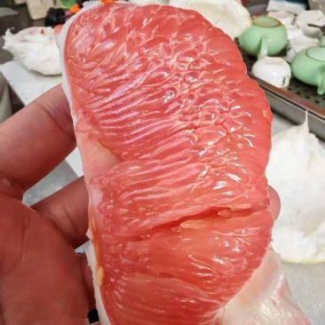梅州柚子