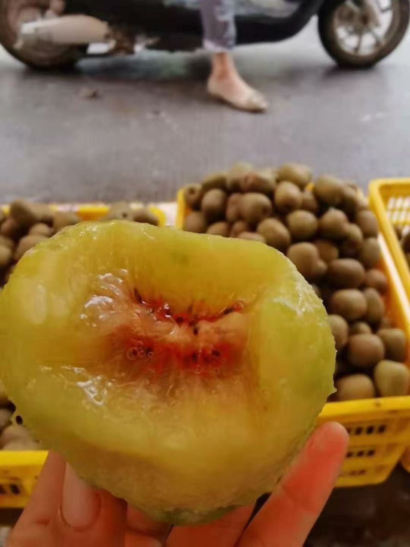 广西百色乐业高山红心猕猴桃