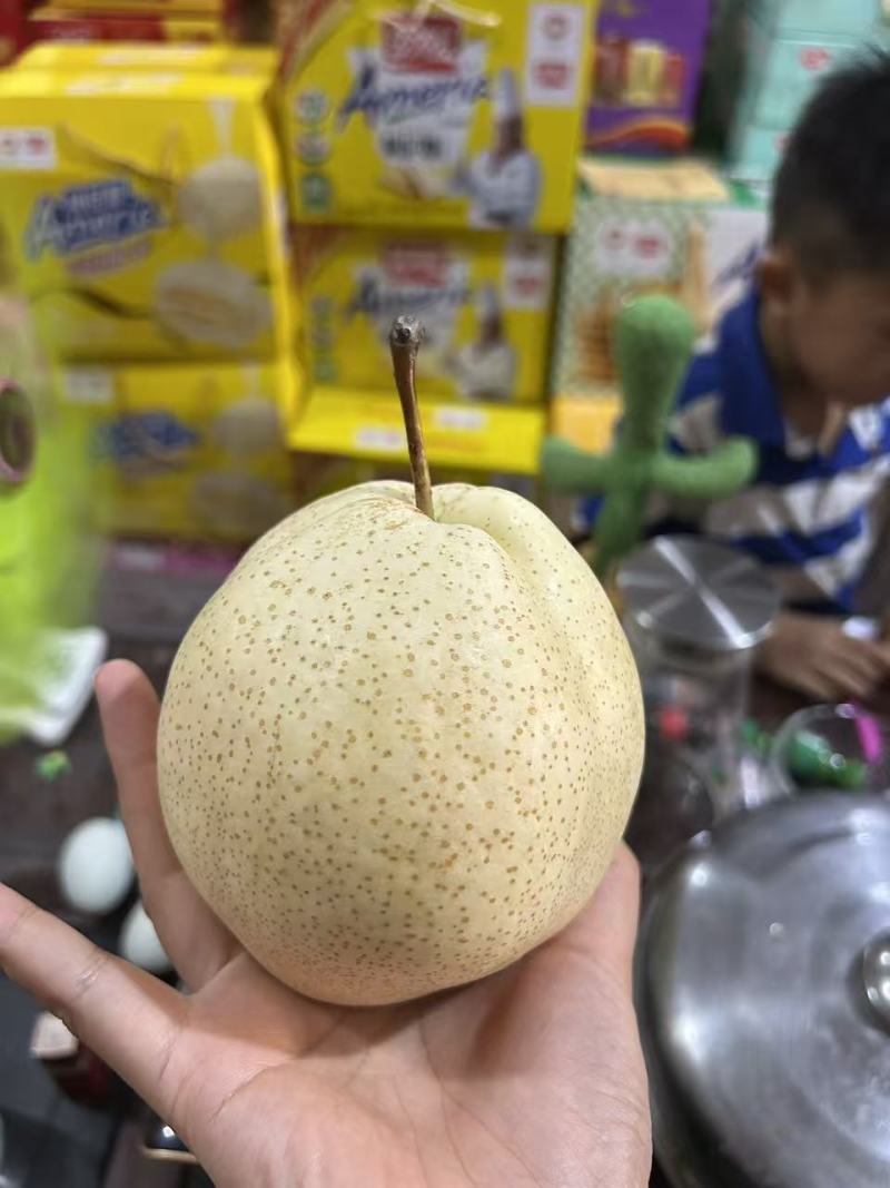 山农酥梨