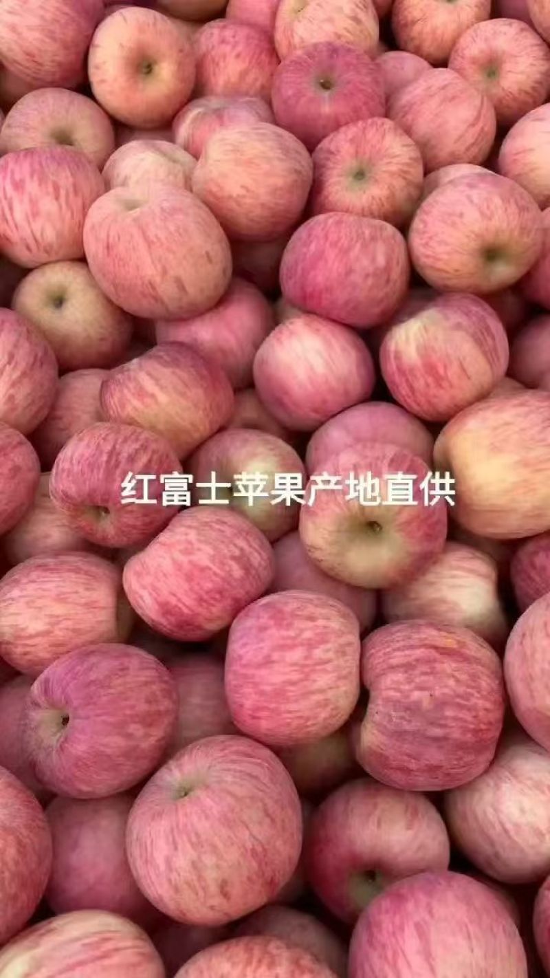 红富士苹果