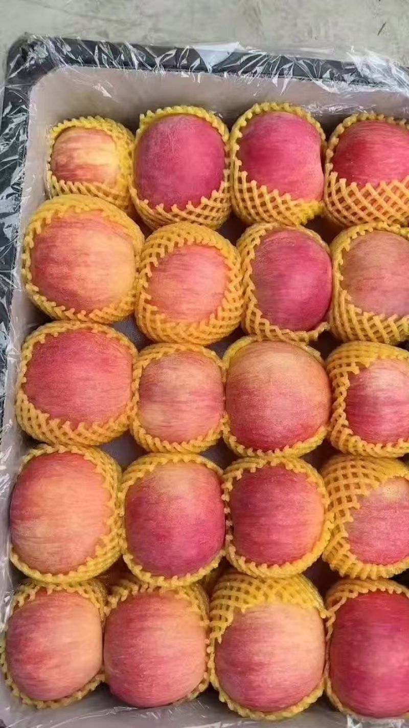 红富士苹果