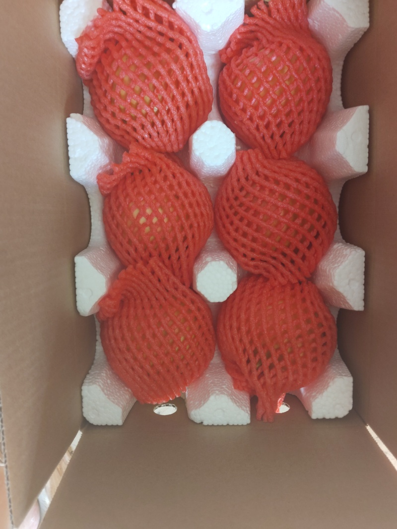 会理软籽石榴