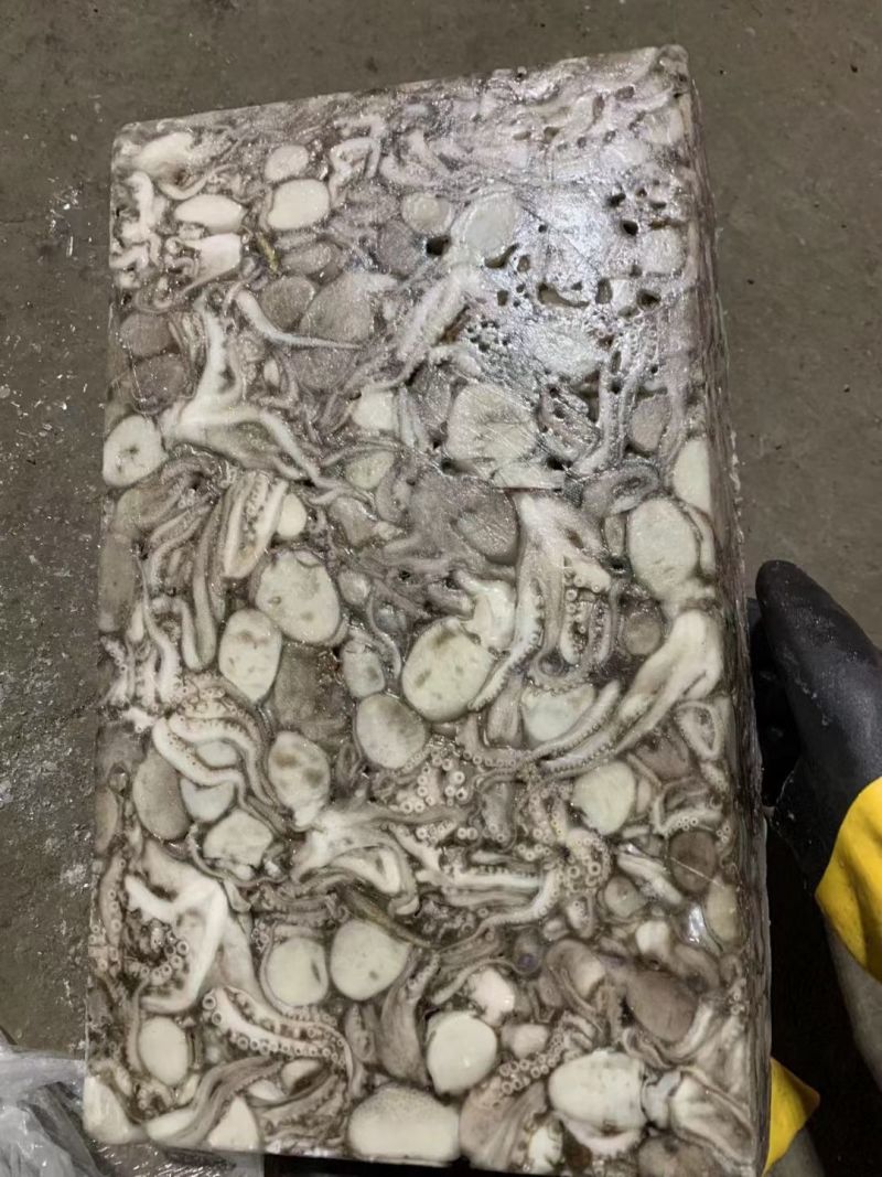 原浆八爪鱼