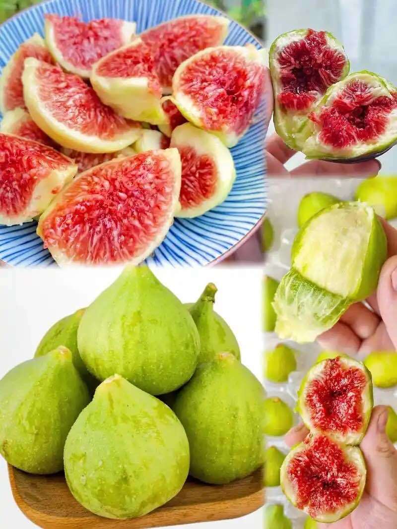 威海青皮无花果（支持一件代发）