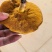 野生蘑菇