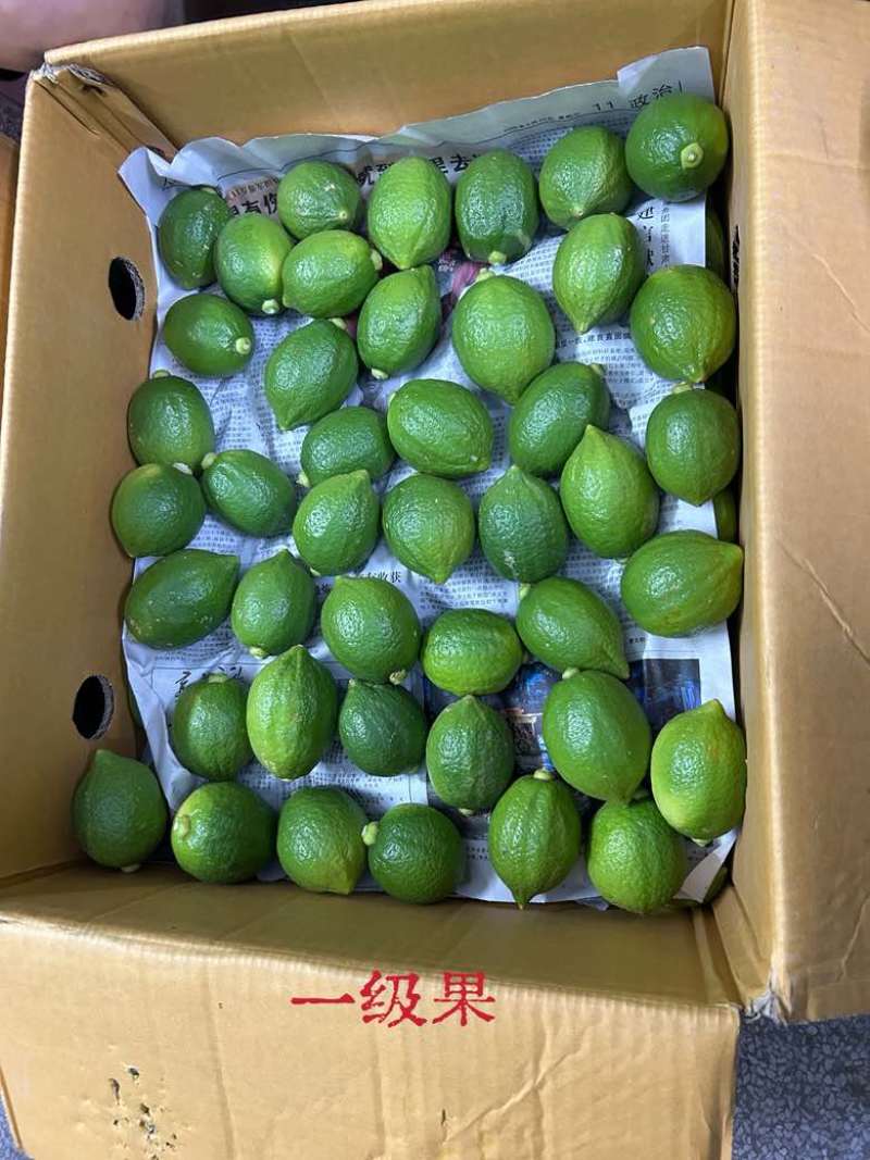无籽香水柠檬