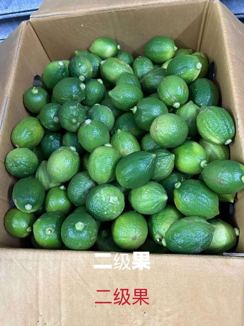 无籽香水柠檬