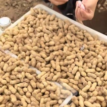 鲜花生