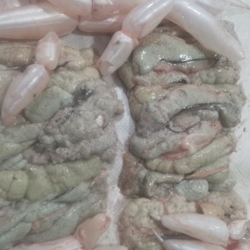 鳊鱼籽现杀