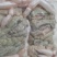 鳊鱼籽现杀