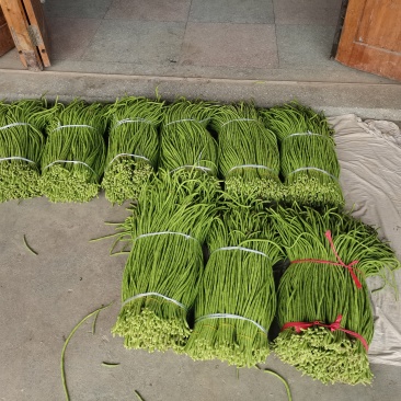 缸豆