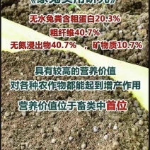 有机肥纯兔粪