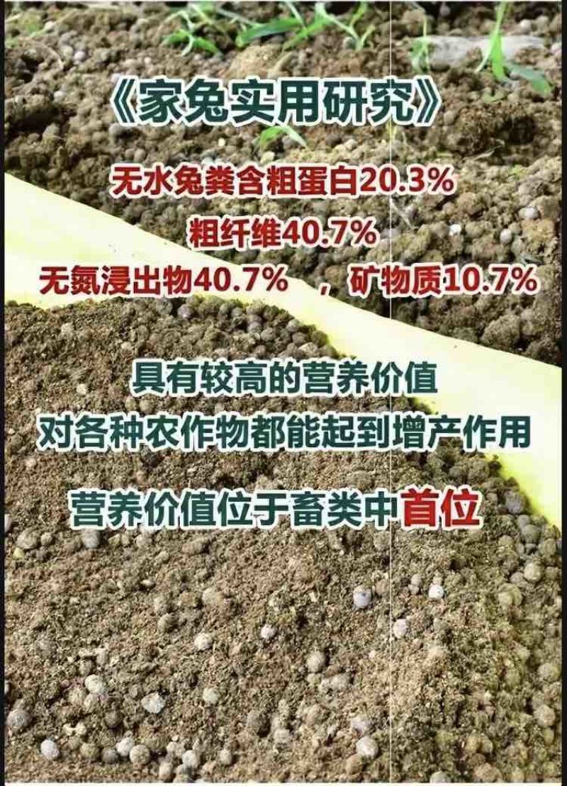 有机肥纯兔粪