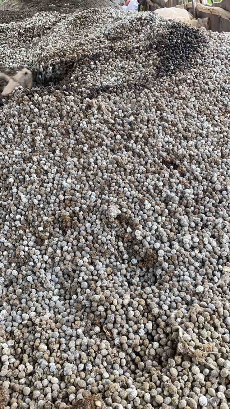 有机肥纯兔粪