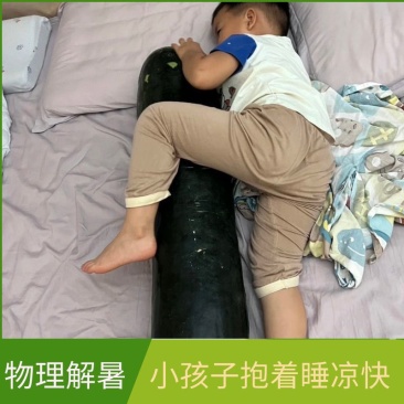黑皮冬瓜