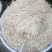 云南特有苤菜根云南特产调味菜现挖现发品质保证价格实惠口感佳