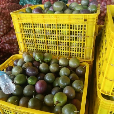 挖浆果饮料厂工厂货