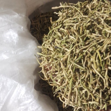 干货金银花