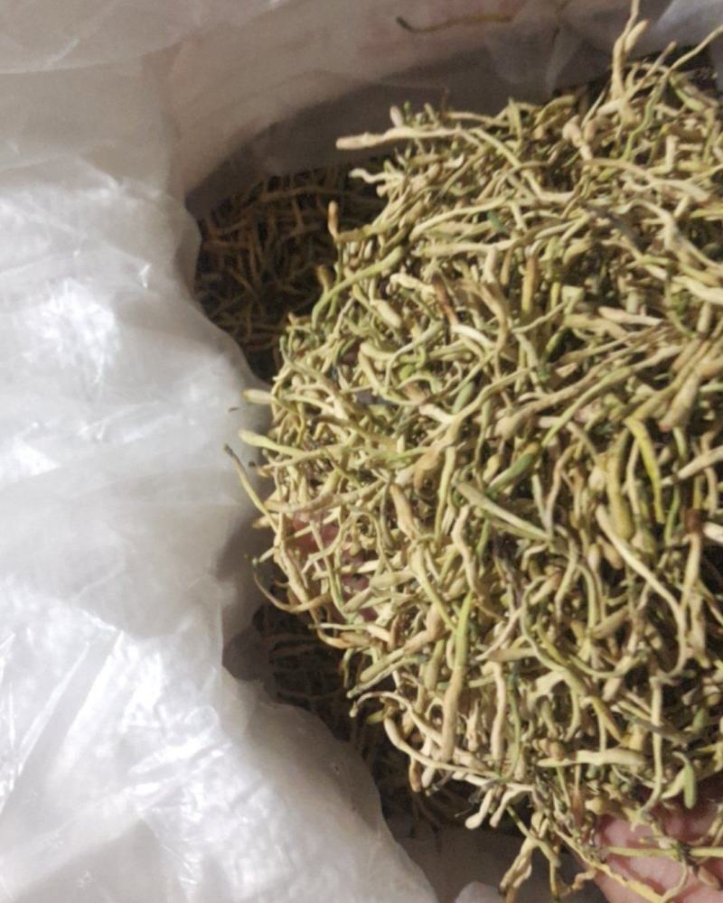 干货金银花