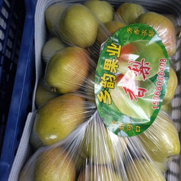 红香酥梨