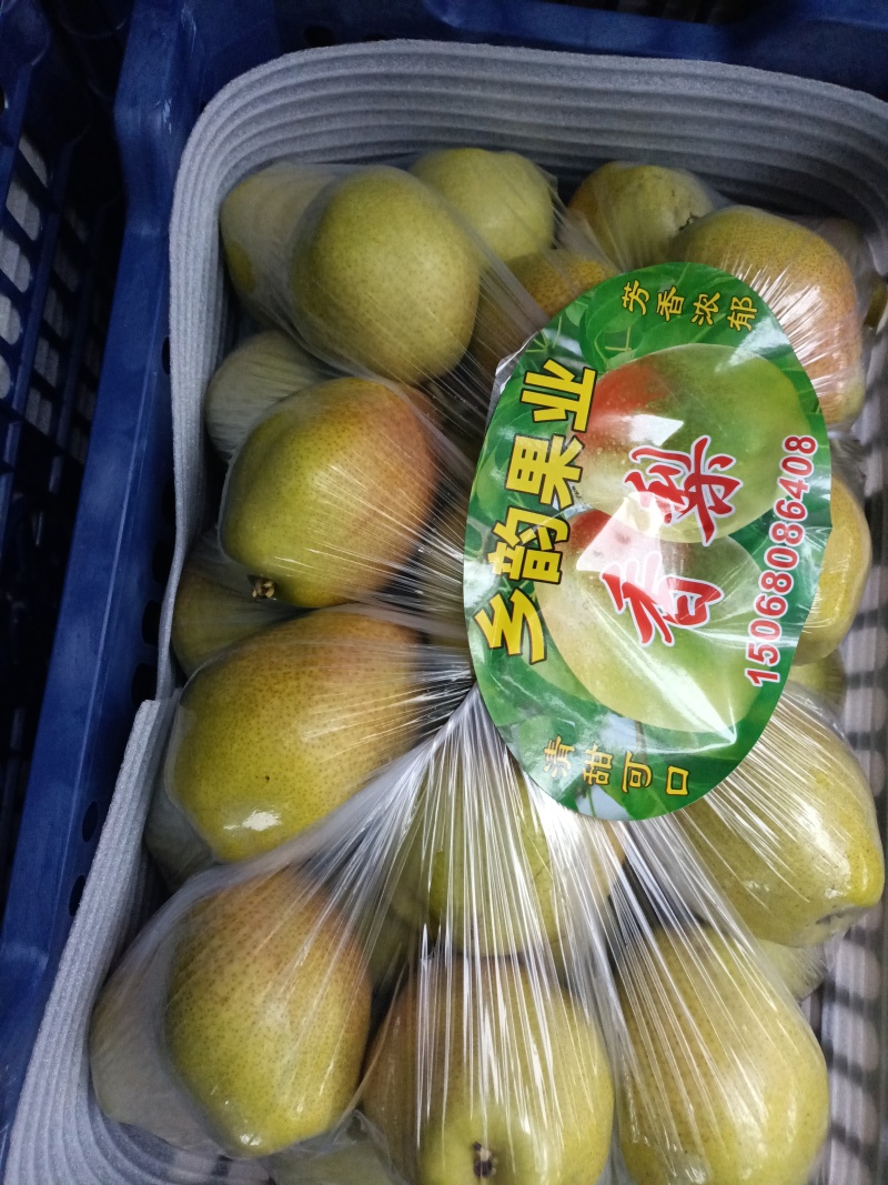 红香酥梨