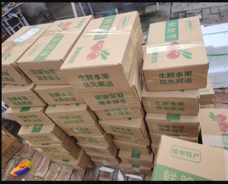 沧州金丝脆枣