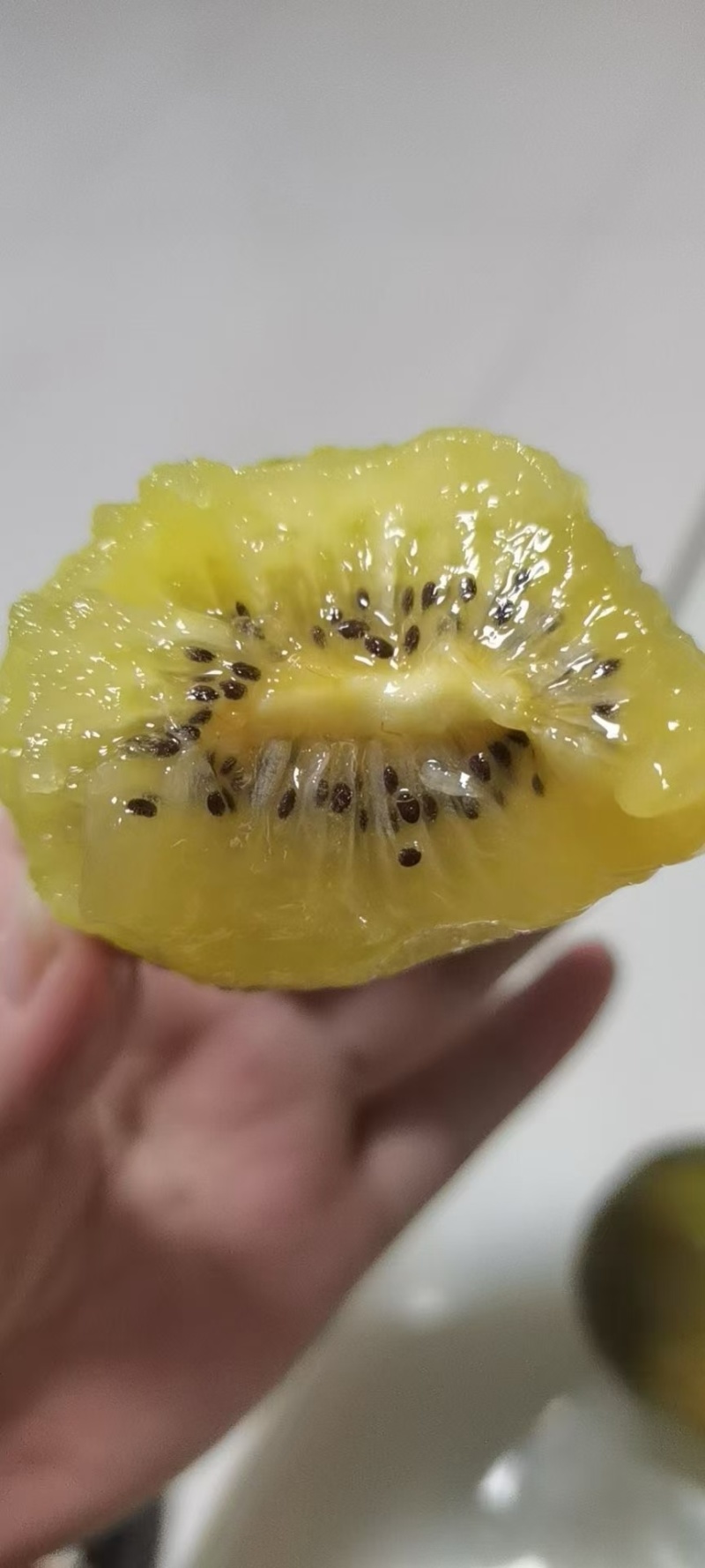 淄博市博山绿黄红心猕猴桃***********