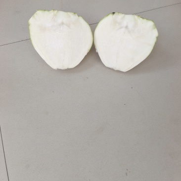 芥菜疙瘩