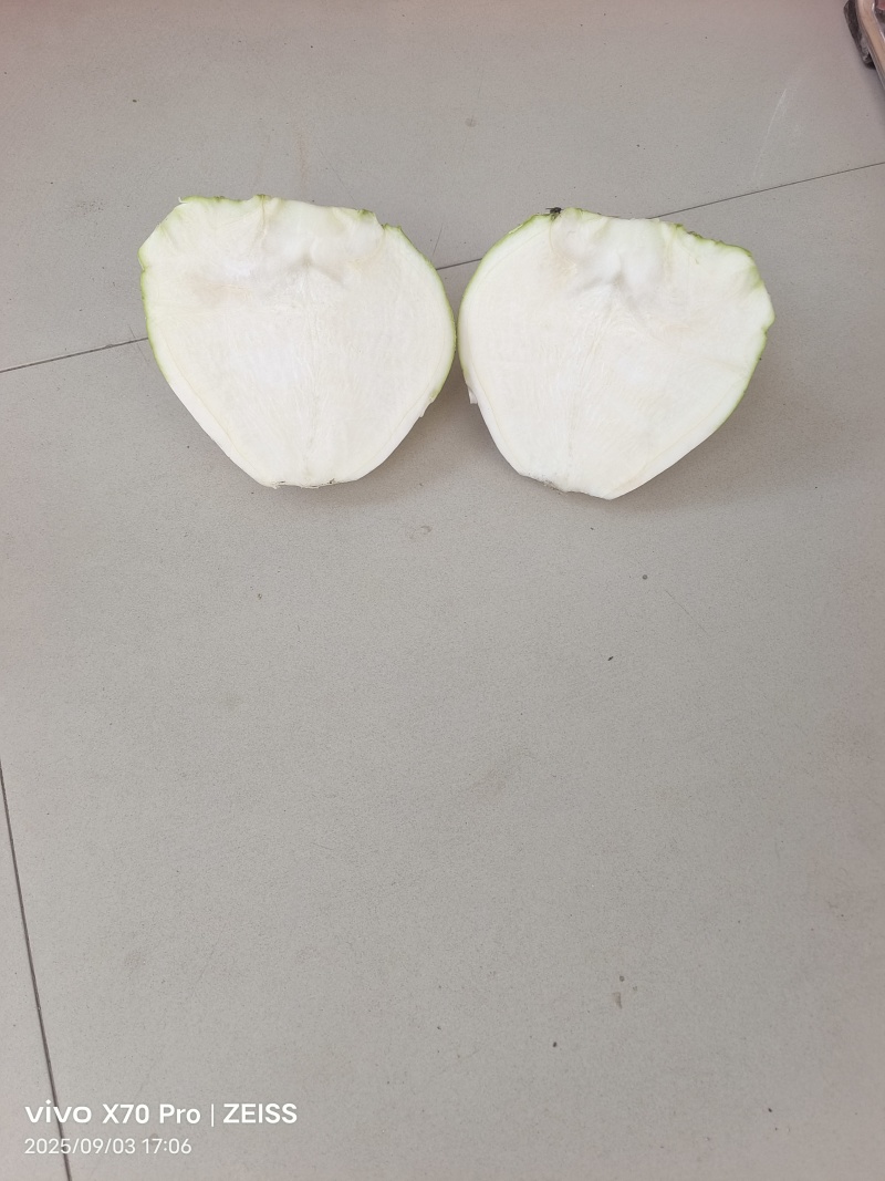 芥菜疙瘩