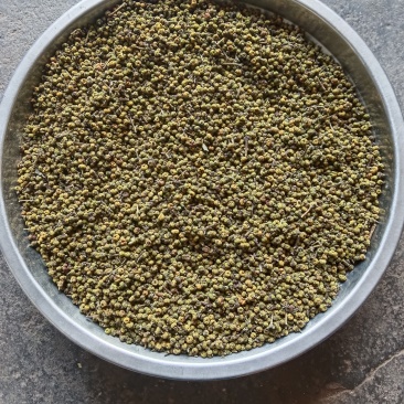 中药材吴茱萸