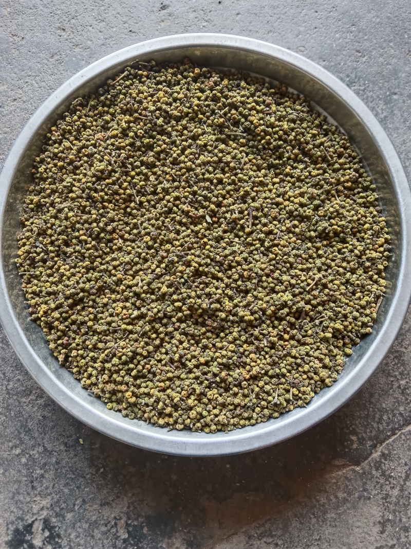 中药材吴茱萸